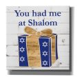 Punny Hanukkah Collection F  by Alicia Ludwig, Canvas Wall Art Cheap