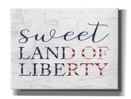 Sweet Land of Liberty II  by Lux + Me, Canvas Wall Art Online Hot Sale