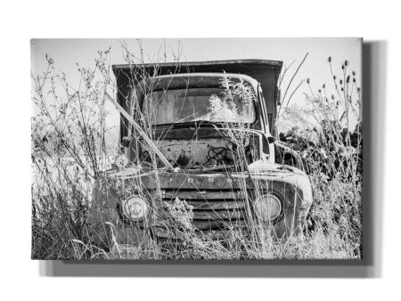 Truck in Wildflower Field  by Donnie Quillen, Canvas Wall Art Online now