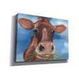 Morning Chew I  by Alicia Ludwig, Canvas Wall Art Discount