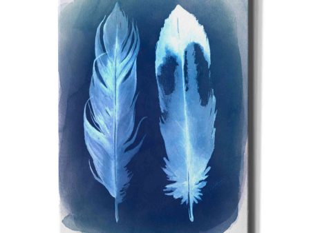 Feather Negatives II  by Grace Popp, Canvas Wall Glass For Cheap