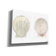 Tidal Treasure IV  by Alicia Ludwig, Canvas Wall Art Online Hot Sale