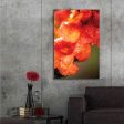 Orange Glory  by Donnie Quillen, Canvas Wall Art Supply