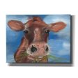 Morning Chew I  by Alicia Ludwig, Canvas Wall Art Discount