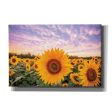 Sunflower Sunset  by Donnie Quillen, Canvas Wall Art Supply