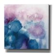 Nebula I   by Mary Urban, Canvas Wall Art Fashion