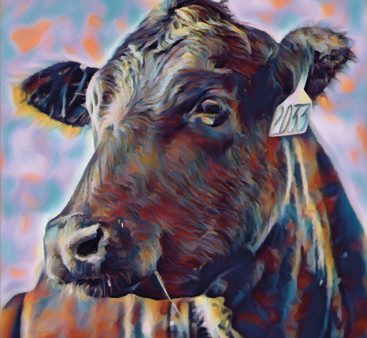 DAK243 - Colorful Cow - 12x18 Online Hot Sale