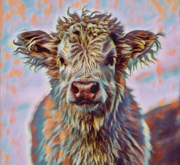 DAK242 - Colorful Calf - 12x18 Online