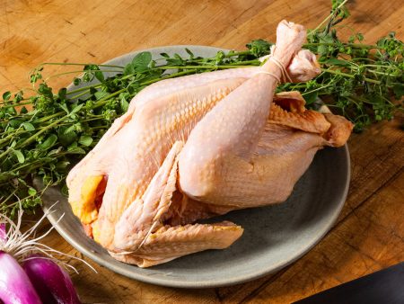 PLYMOUTH ROCK WHOLE HERITAGE CHICKEN, 3-4lb Sale